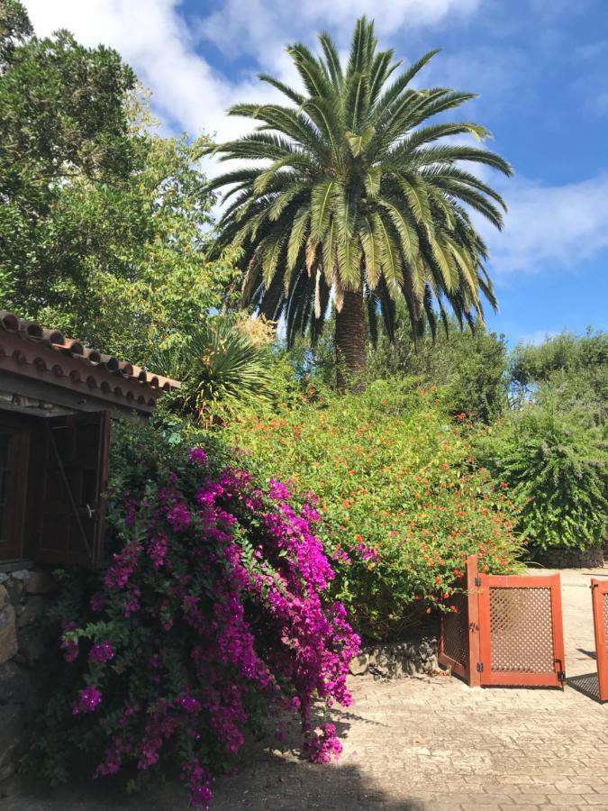 Apartmán Rincon De Los Abanes - Finca Casa Jardin-Vv La Laguna  Exteriér fotografie